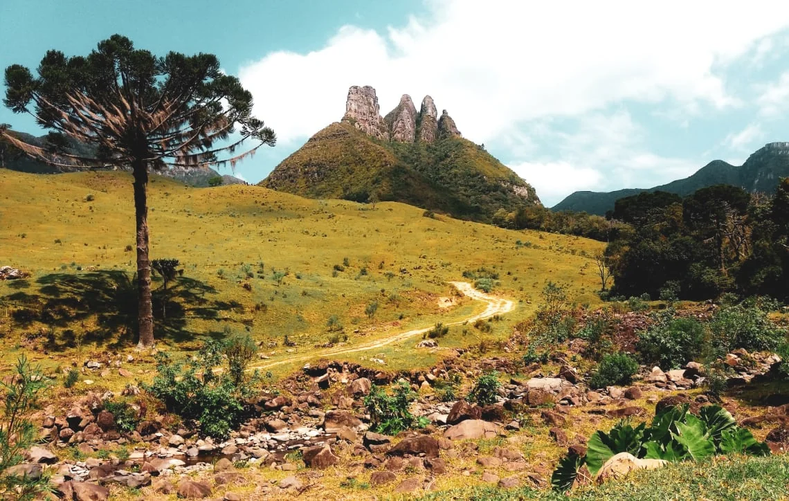 Montanhas e araucárias